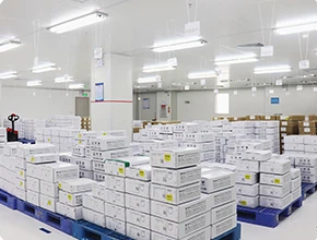 Department of Design