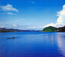 product-228-200 product-228-200